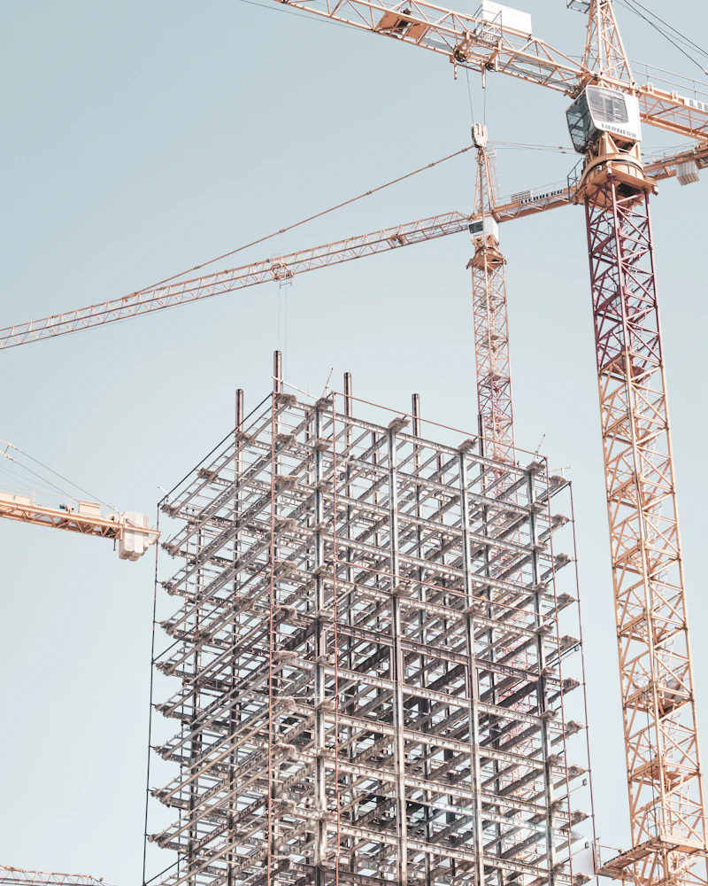 A steel structural frame rising between tower cranes